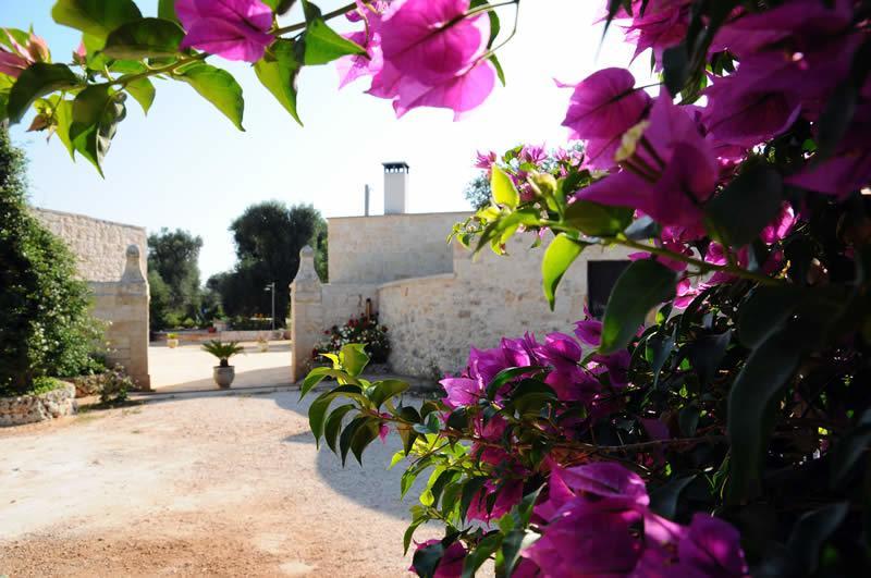Tenuta Arcangelo سيغلي ميسابيكا المظهر الخارجي الصورة